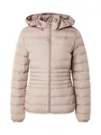 EA7 Emporio Armani Zimná bunda  tmavošedá