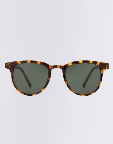 Komono Francis Tortoise