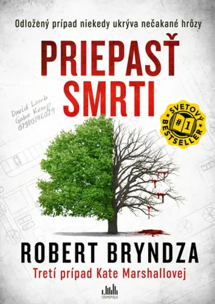 Priepasť smrti - Robert Bryndza
