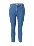 ONLY Carmakoma Džínsy 'CARHush'  modrá denim