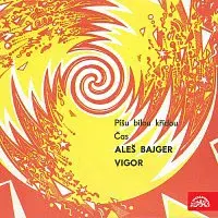 Aleš Bajger, Vigor – Píšu bílou křídou / Čas