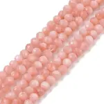 Natural Freshwater Shell Dyed Beads Strands