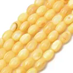 Dyed Natural Freshwater Shell Beads Strands