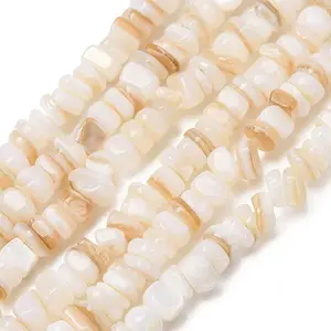 Natural Freshwater Shell Beads Strands