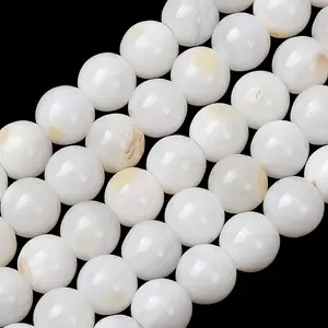 Natural Freshwater Shell Beads Strands