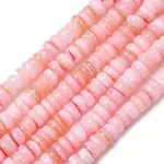 Dyed Natural Freshwater Shell Beads Strands