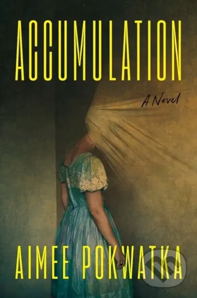 Accumulation - Aimee Pokwatka
