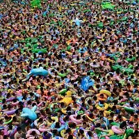 Elbow – Giants of All Sizes