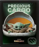 Obraz 3D Mandalorian Precious Cargo