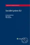 Sociální právo EU - Kristina Koldinská, Igor Tomeš, Filip Křepelka - kniha z kategorie Sociální péče