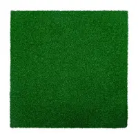 inSPORTline Zátěžová podložka Grasteko 50x50x2 cm