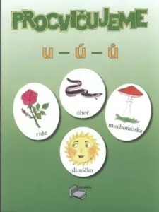 Procvičujeme psaní -u,-ú,-ů + KLÍČ - pracovní sešit