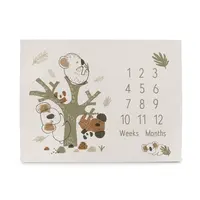 Ceba Podložka milníková na focení (92x72) Basic Koala