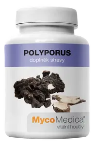 MYCOMEDICA Polyporus 90 kapslí