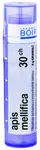 BOIRON Apis Mellifica 30CH granule 4 g