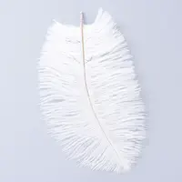 Ostrich Feather Costume Accessories