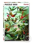 Haeckel: Kolibris - puzzle z kategorie Umělecké