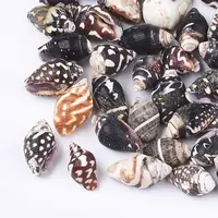 Spiral Shell Beads