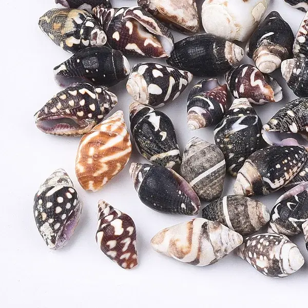 Spiral Shell Beads