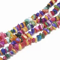 Freshwater Shell Beads Strands