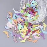 Ornament Accessories