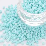 8/0 Opaque Glass Seed Beads