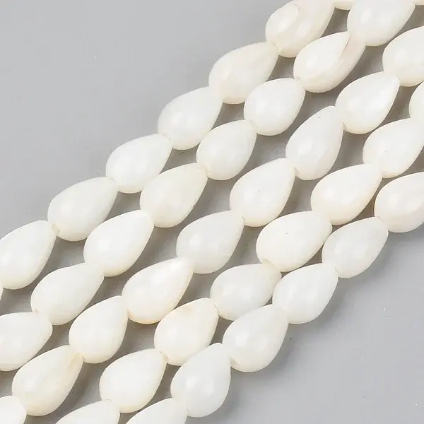 Natural Freshwater Shell Beads Strands