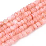 Natural Freshwater Shell Dyed Beads Strands
