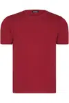 T8569 DEWBERRY BIKE COLLAR MEN'S T-SHIRT-PLAIN BURGUNDY