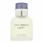 Dolce & Gabbana Light Blue Pour Homme toaletná voda pre mužov 40 ml