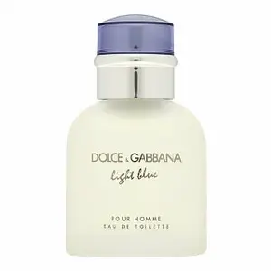 Dolce & Gabbana Light Blue Pour Homme toaletná voda pre mužov 40 ml