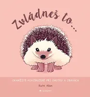 Zvládneš to..., Allan Kate