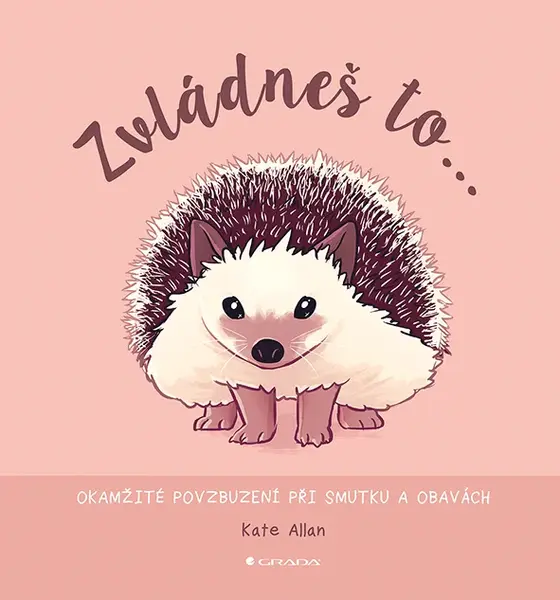 Zvládneš to..., Allan Kate