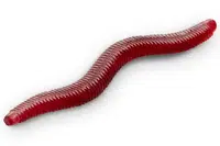 Delphin umělá nástraha b! stinxworm 4 cm 50 ks - bloody / garlic