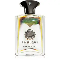 Amouage Portrayal parfémovaná voda pro muže 100 ml