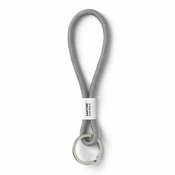 PANTONE Poutko na klíče S - Cool Gray 9