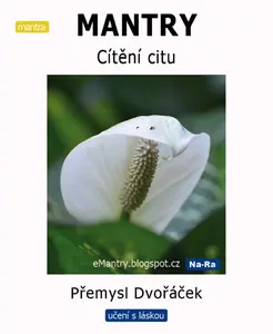 MANTRY – Cítění citu - Přemysl Dvořáček