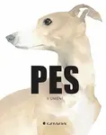 Pes v umění - Angus Hyland