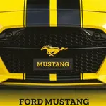 Ford Mustang - Alois Pavlůsek