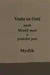 Voda se čistí aneb Mladý muž a pražské jaro - Miroslav Krůta