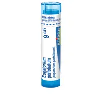 Boiron EUPATORIUM PERFOLIATUM CH9 granule 4 g