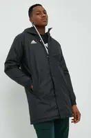 Bunda adidas Performance Entrada 22