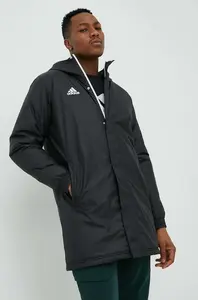 Bunda adidas Performance Entrada 22