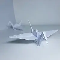 Disonant – Už si pletu noci / Už si pletu dny