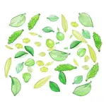 Transparent Acrylic Pendants