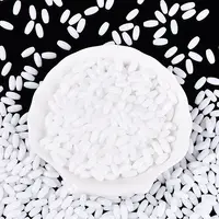 Opaque Colours Glass Seed Beads