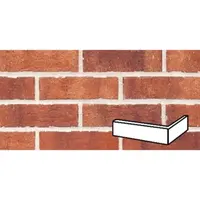 Klinker Klinker roh fasádny oranžovotehlová 7,1x24x11,5 cm RPURPRA