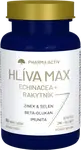 PHARMA ACTIV Hlívá max Echinacea + Rakytník 60 tablet