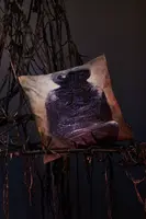 Dekorativní povlak na polštář Medicine