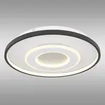 Stropná lampa Brienna 48552D LED PL1